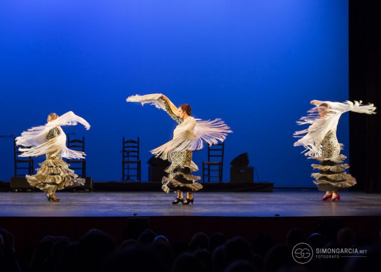 Fotografia deportiva Escuela-flamenco-Jose-de-la-Vega-Toni-Moñiz-37-SG1746_6031