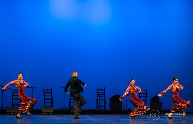 Fotografia deportiva Escuela-flamenco-Jose-de-la-Vega-Toni-Moñiz-46-SG1746_6117