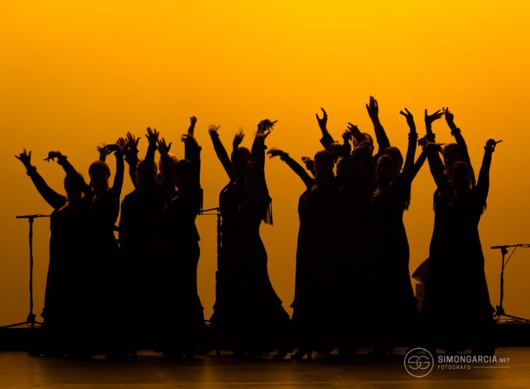 Fotografia deportiva Escuela-flamenco-Jose-de-la-Vega-Toni-Moñiz-49-SG1746_6133