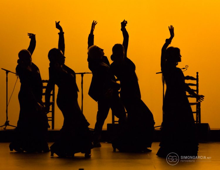 Fotografia deportiva Escuela-flamenco-Jose-de-la-Vega-Toni-Moñiz-50-SG1746_6140