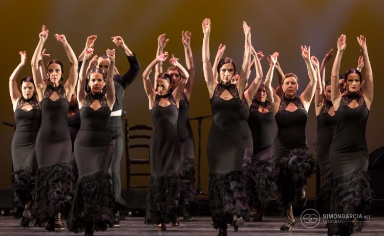 Fotografia deportiva Escuela-flamenco-Jose-de-la-Vega-Toni-Moñiz-66-SG1746_6249