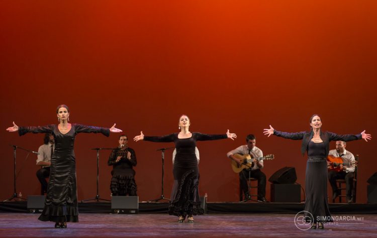 Fotografia deportiva Escuela-flamenco-Jose-de-la-Vega-Toni-Moñiz-85-SG1746_6370