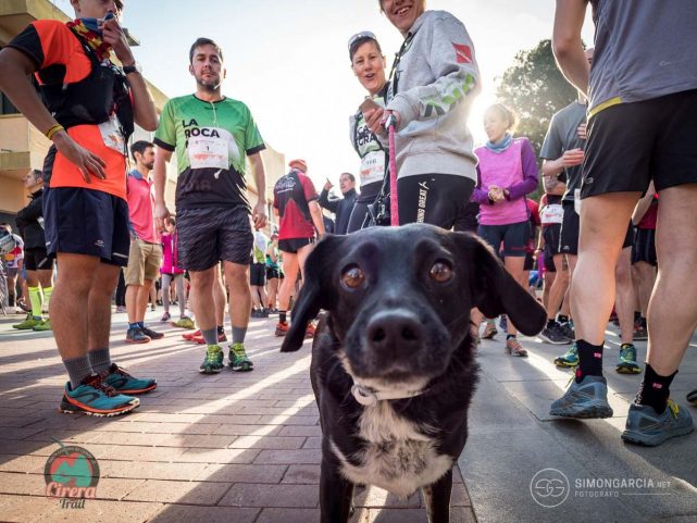 Fotografia deportiva Cirera-Trail-2018-12_C112122